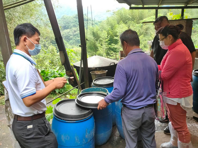 為防範非洲豬瘟，農委會日前公告9月起暫停廚餘養豬1個月。（中央社/嘉義縣政府提供）