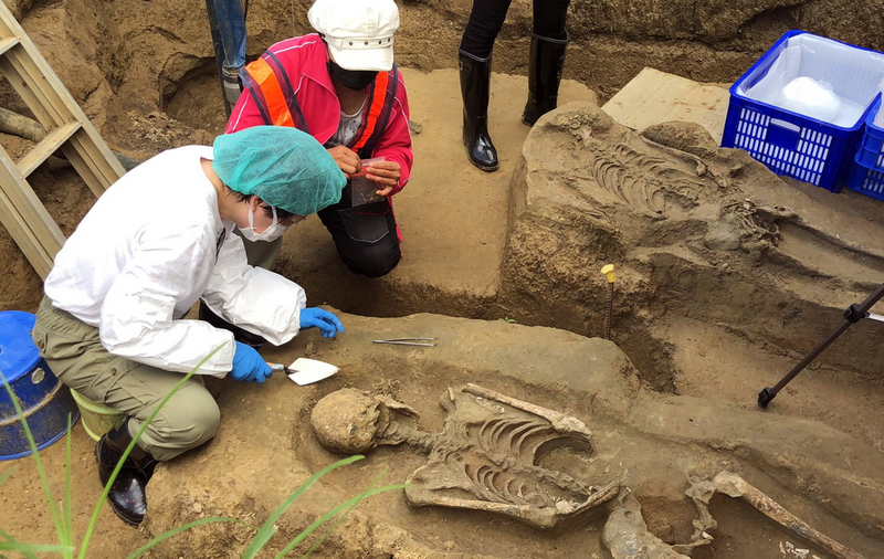 嘉義市鐵路高架化進度已3成多，今年挖到2具初判是2500年前先人，遺骸7日出土，點交給南科考古館暫存維護。 (圖：中央社)