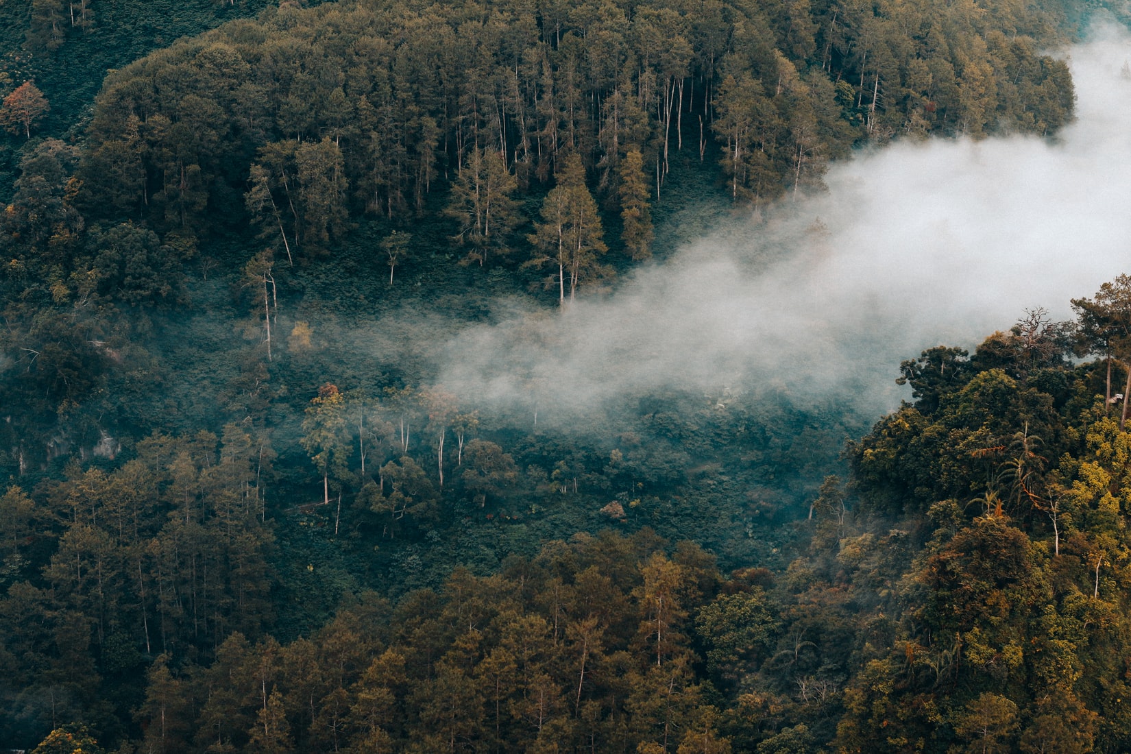 根據巴黎氣候協定，印尼承諾於2030年前將碳排放量減少達41%。 (示意圖/Rifqi Ali Ridho)