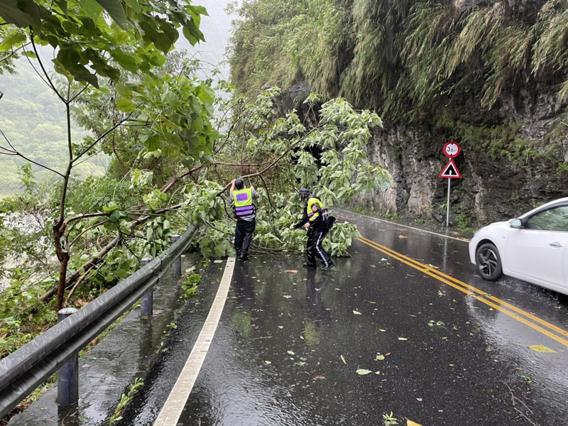 公路總局已預警性封閉7處省道路段。圖為中橫公路省道台8線184.1公里員警處理倒塌樹木。（新城警分局提供）
