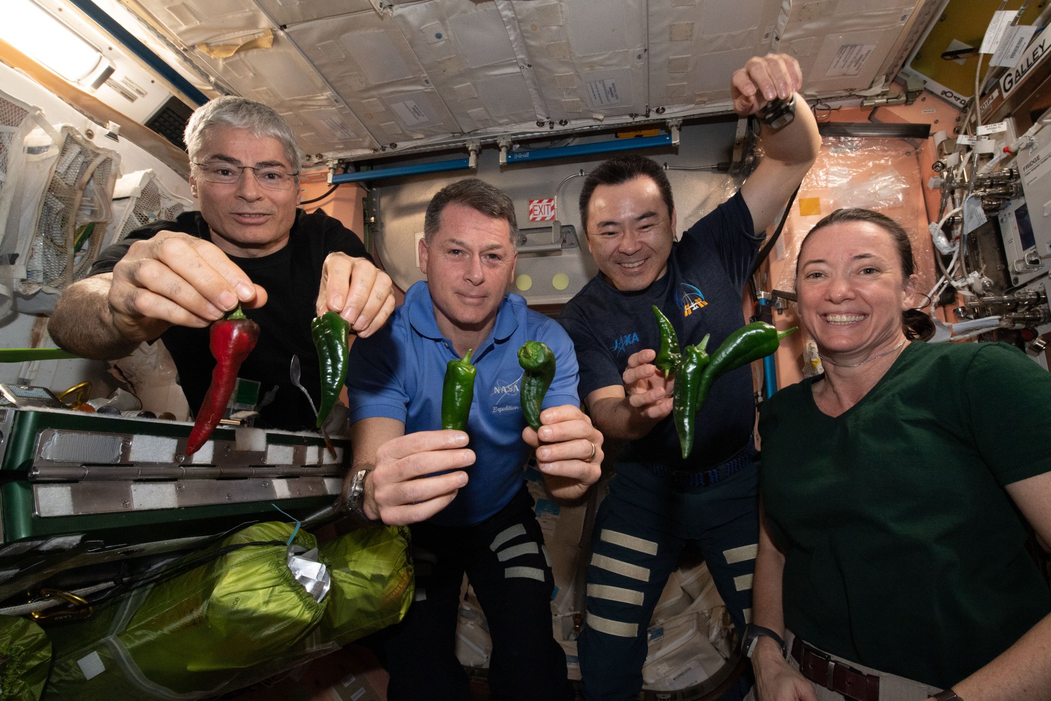國際太空站歡慶首批辣椒收成。 (圖:NASA)