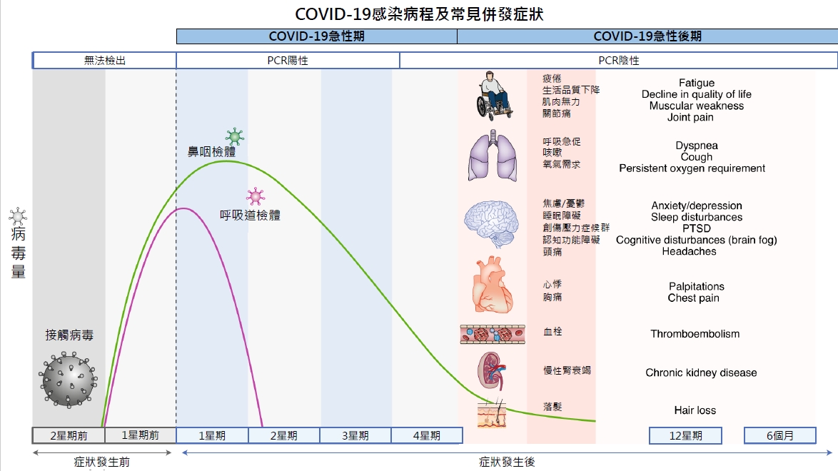 COVID-19感染病程及常見併發症狀。(北市衛生局提供)