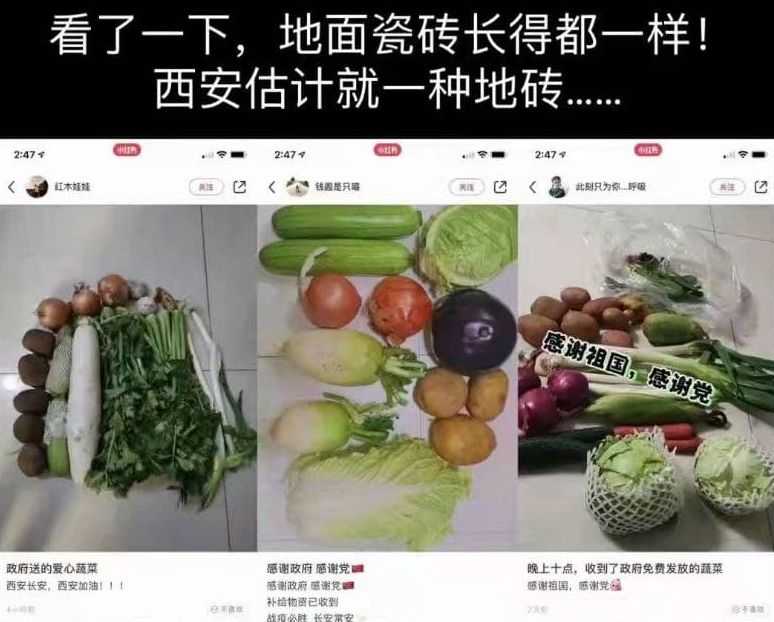 西安封城後民生物資改由專人配發，不少人家中幾乎斷糧。有網友發現網上歌頌政府免費配送蔬菜的貼文，家裏的地磚都是同一款。（微博）