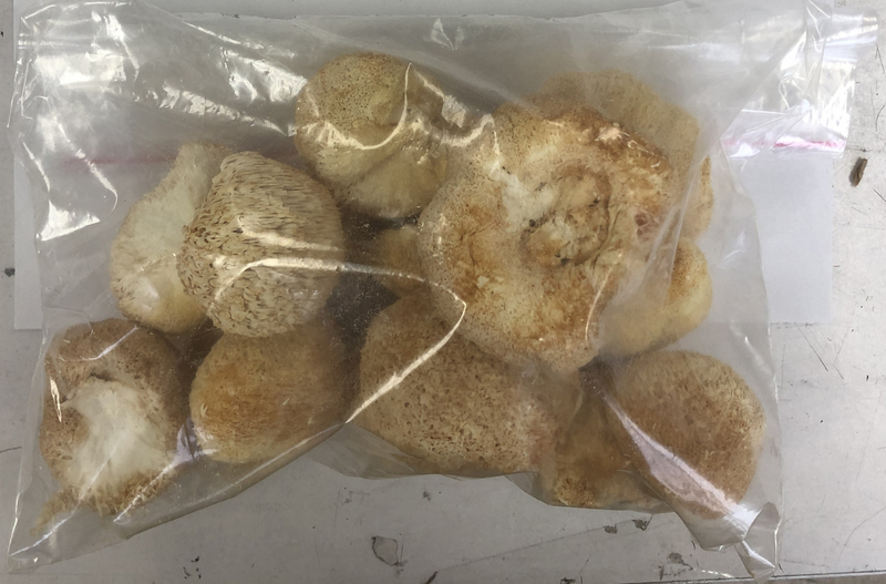 中國進口猴頭菇驗出農藥違規遭攔截。圖為中國進口猴頭菇。資料畫面（衛福部食藥署提供／中央社)