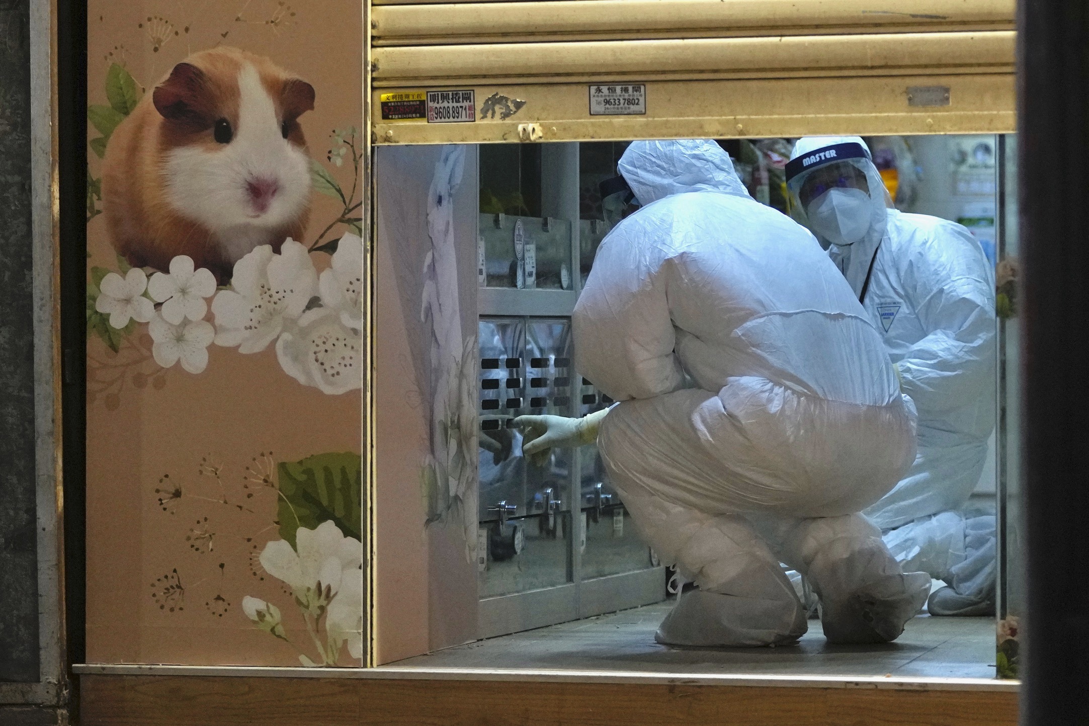 香港銅鑼灣一家寵物店數名員工感染Delta變異株後，港府防疫人員18日清查寵物店。（美聯社／達志影像）