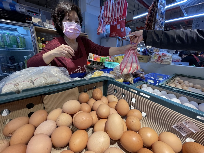 農委會表示，部分進口蛋已運抵台灣；今年種雞進口已達5萬多隻。(圖：中央社)