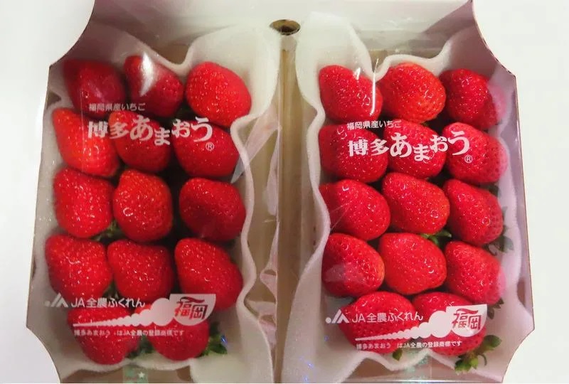 食藥署22日指出，日本進口鮮草莓在3個月內有15批檢出農藥殘留超標，因此啟動逐批查驗把關。（食藥署提供）