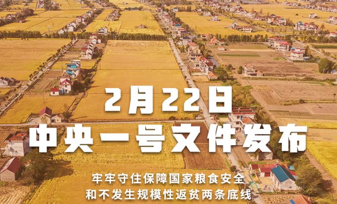 中國2022年「中央一號文件」2月22日發布，主題是全面推進鄉村振興重點工作。(微博)