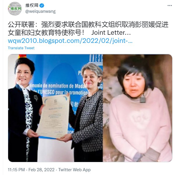 「徐州八孩母親」案，有連署要求取消彭麗媛婦女特使頭銜。(推特)