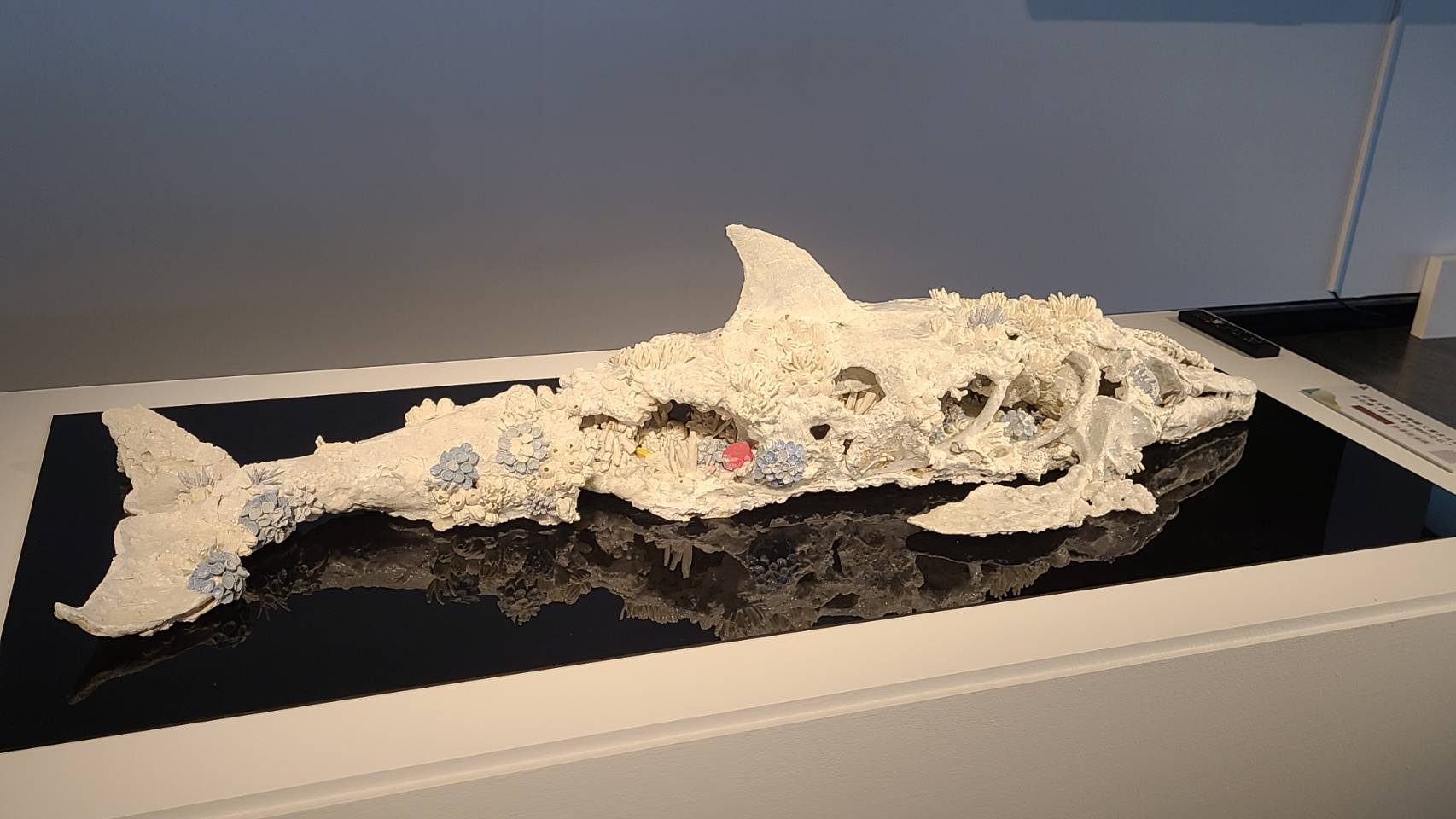 第三節臺灣陶藝獎「創作獎」首獎為王裔婷的《殞落中的重生化石：熱帶斑海豚》，看似美麗的化石，其實裏頭反映了生態浩劫。(江昭倫 攝)