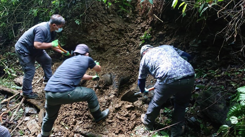 野放東卯山的黑熊遇害，是否遭獵人誤擊仍待釐清。(圖：中央社)