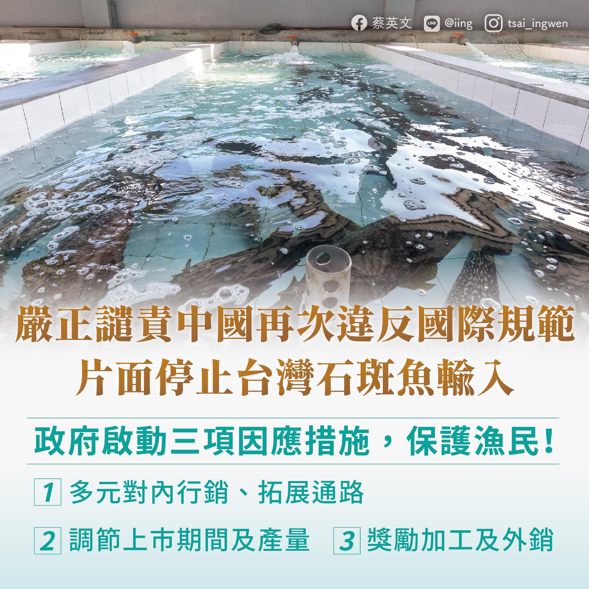 中國禁台石斑魚， 蔡總統譴責片面傷害兩岸關係。（蔡英文臉書）