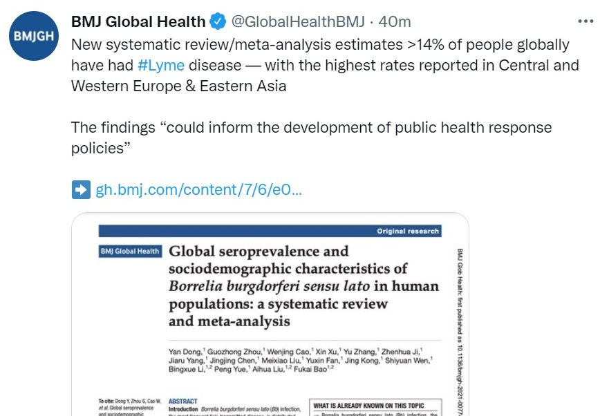 研究：全球超過14%的人患有萊姆病。 (圖:推特)