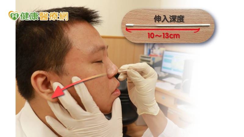 冠狀病毒必須依附在細胞存活，所以做快篩時，要採集到上呼吸道系統的細胞，才能正確檢測出病毒。(圖：健康醫療網 提供)