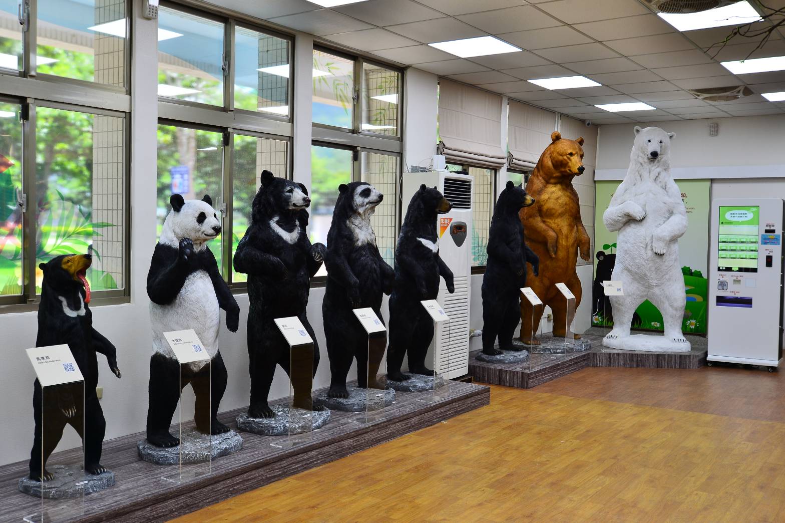 不只台灣黑熊，台灣黑熊教育館也打造真實比例的世界八大熊類模型，傳達生物多樣性的重要。 (台灣黑熊教育館／頑石提供)