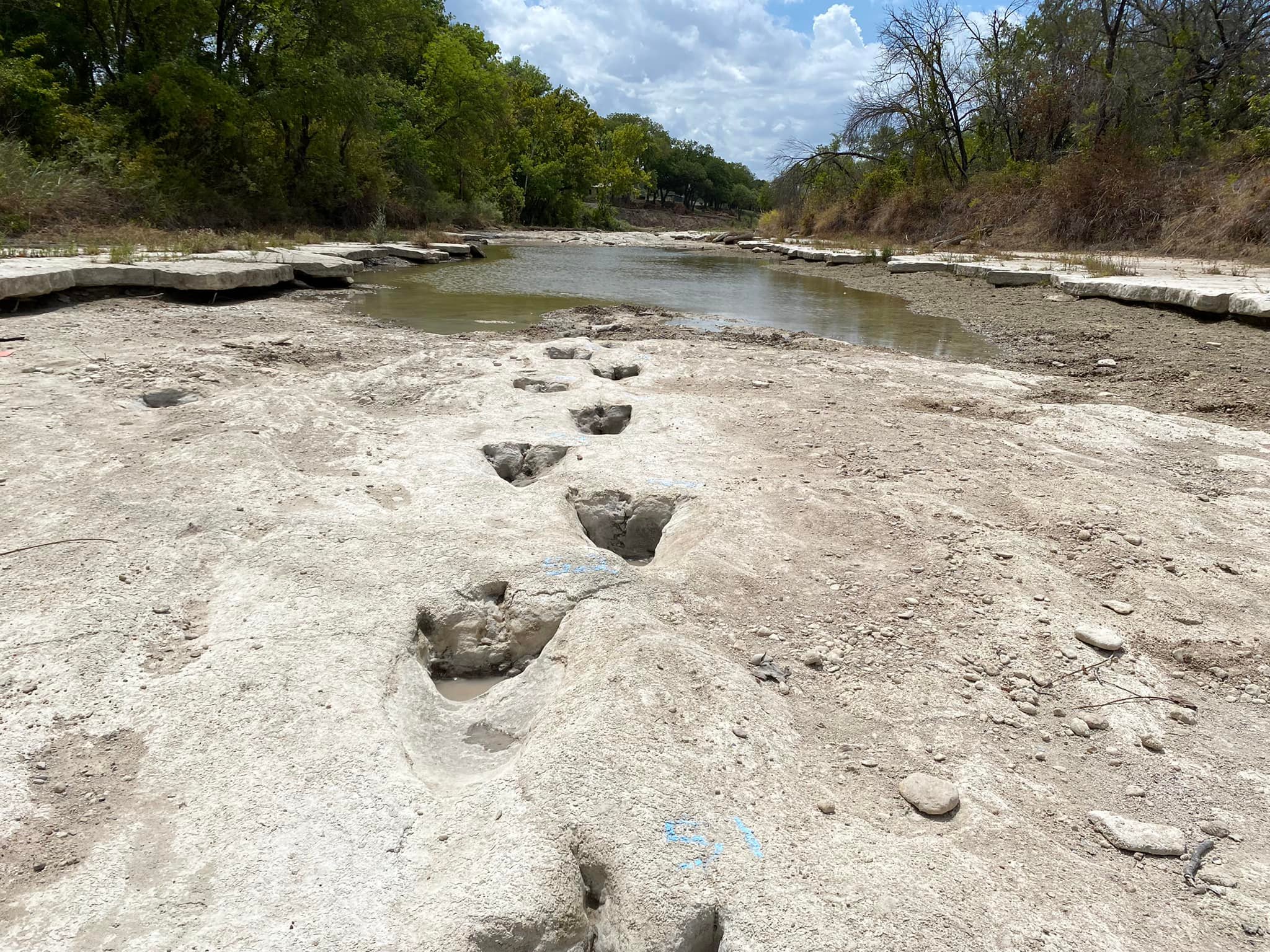 德州乾涸河床露出1.13億年前恐龍足跡。 (圖:取自臉書@DinosaurValleyStatePark)