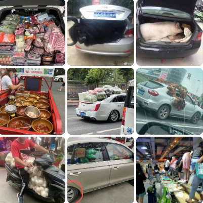 四川成都無預警封城，但早在封城前，許多居民已經出現恐慌性搶購，許多自用車塞滿食物。(微博)