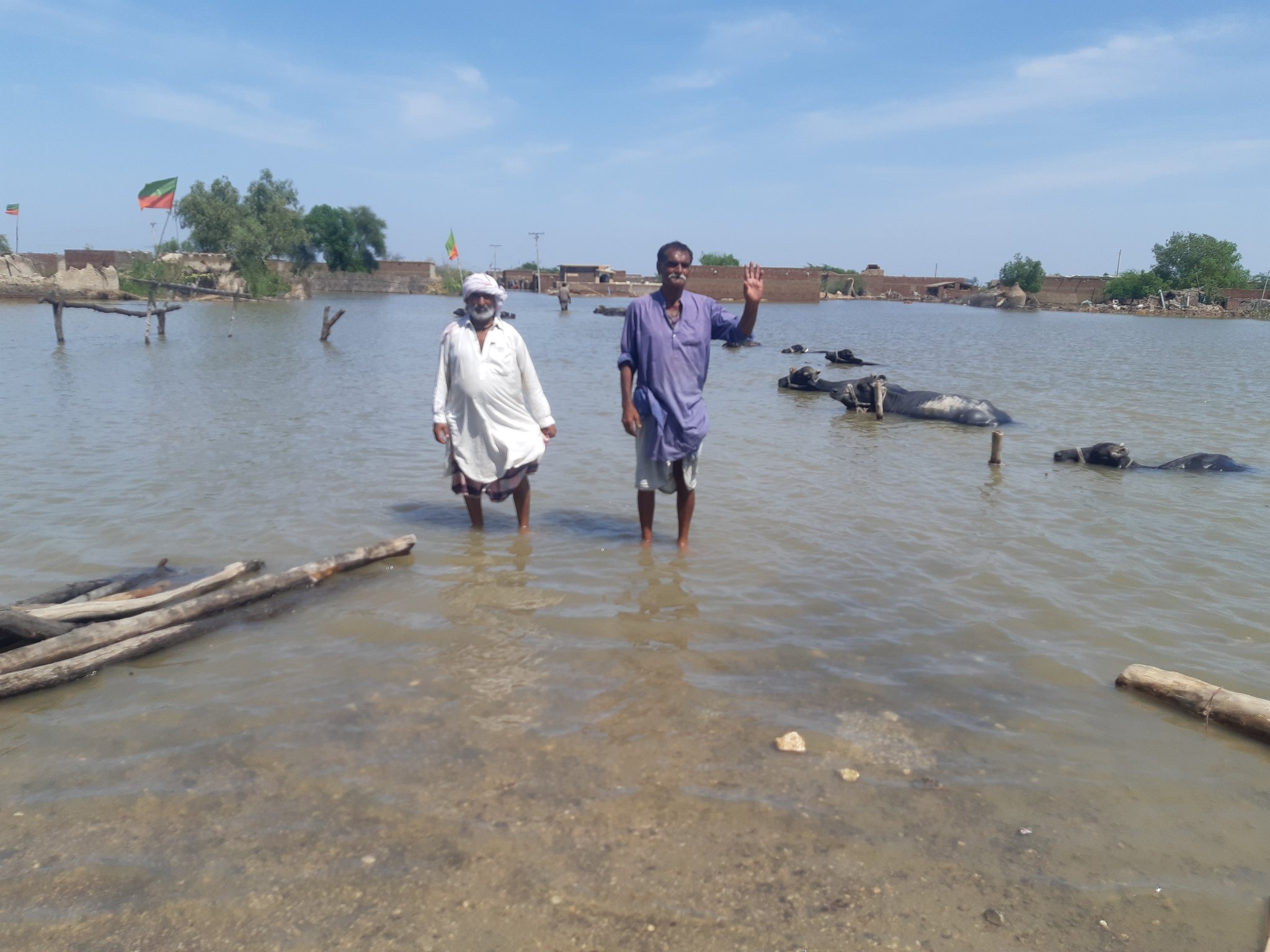 巴基斯坦記者在自己推特上發布信德省(Sindh)遭洪水吞噬大片農田與房屋的狀況。(Twitter/@zulfiqarkunbhar)