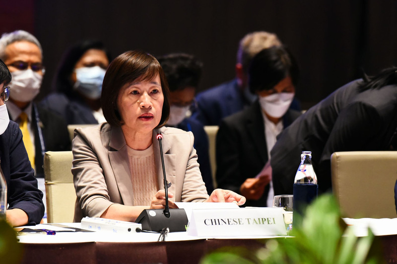 國發會副主委高仙桂7日代表台灣出席APEC婦女與經濟論壇，她表示，台灣近年來落實性別平等政策綱領，透過APEC的跨論壇與跨部門合作，提出多項計畫。（行政院提供） (圖：中央社)