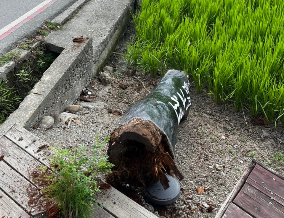 台東縣池上鄉著名景點「伯朗大道」入口處的標誌柱18日下午被地震震倒。(圖取自PTT)
