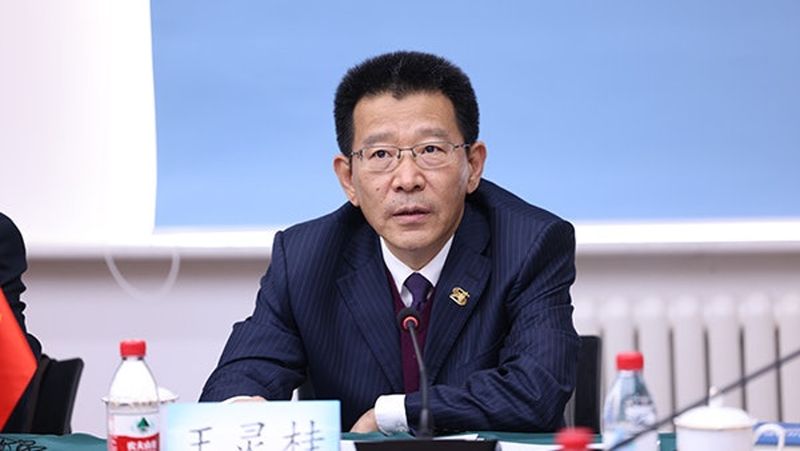 中國港澳辦副主任王靈桂。(網路圖片)