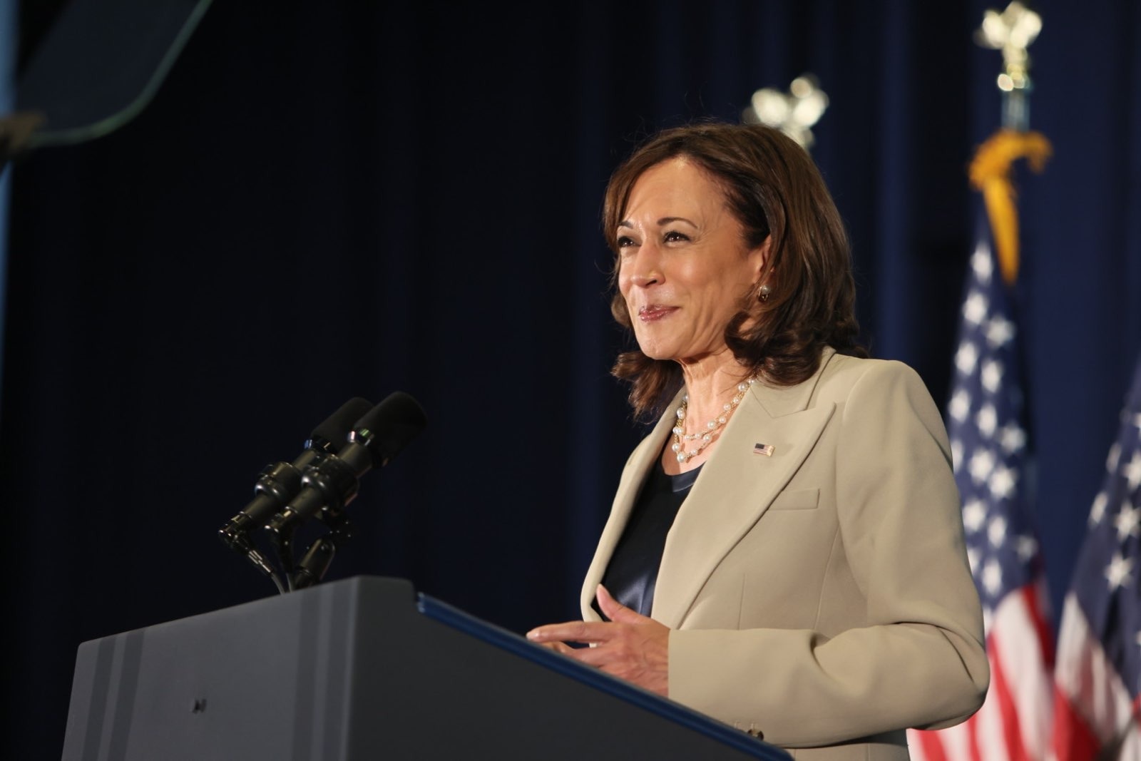 美國副總統賀錦麗(Kamala Harris)。(臉書)