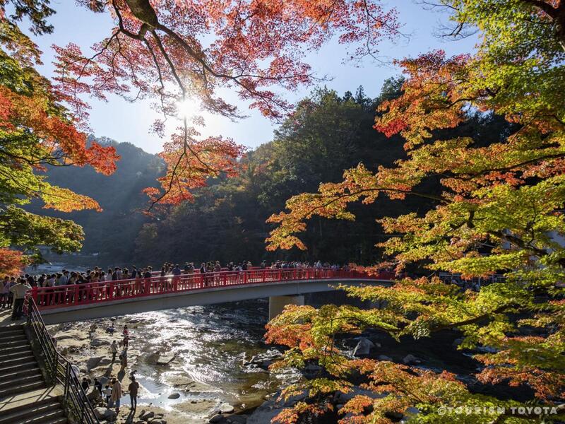 日本今年迎來自126年前開始有記錄以來的最熱秋天，使得深受歡迎的賞楓延後到了12月。(圖：中央社)
