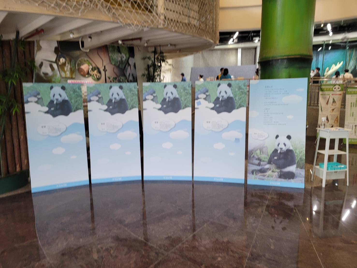 台北市立動物園大貓熊「團團」19日逝世，目前園方已經在大貓熊館設置「團團」追思看板，其他紀念方式則仍在規劃中。(台北市立動物園提供)