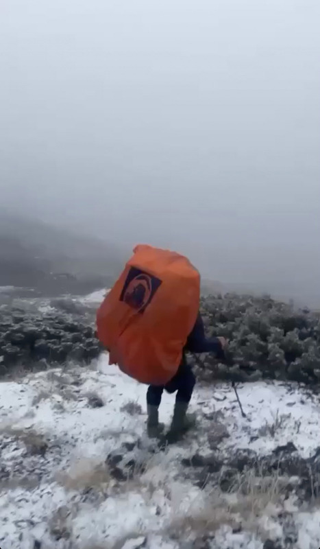 受東北季風影響，加上水氣偏多，雪山12日出現今年入冬以來第1場雪，陣陣雪花隨風飄落，覆蓋山徑，宛如披上一層薄紗。(圖：中央社)