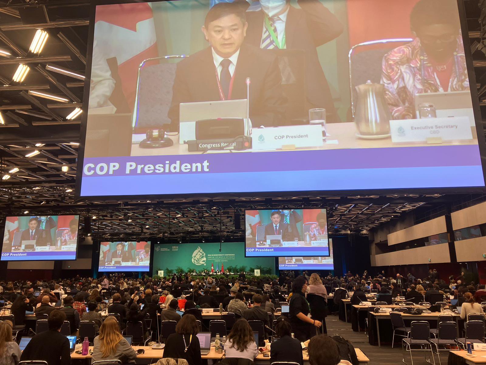 聯合國「生物多樣性公約」第15次締約方大會(COP15)，有約190個國家的代表齊聚加拿大蒙特婁(Montreal)針對保護地球生態進行談判。(推特@CBD_COP15)