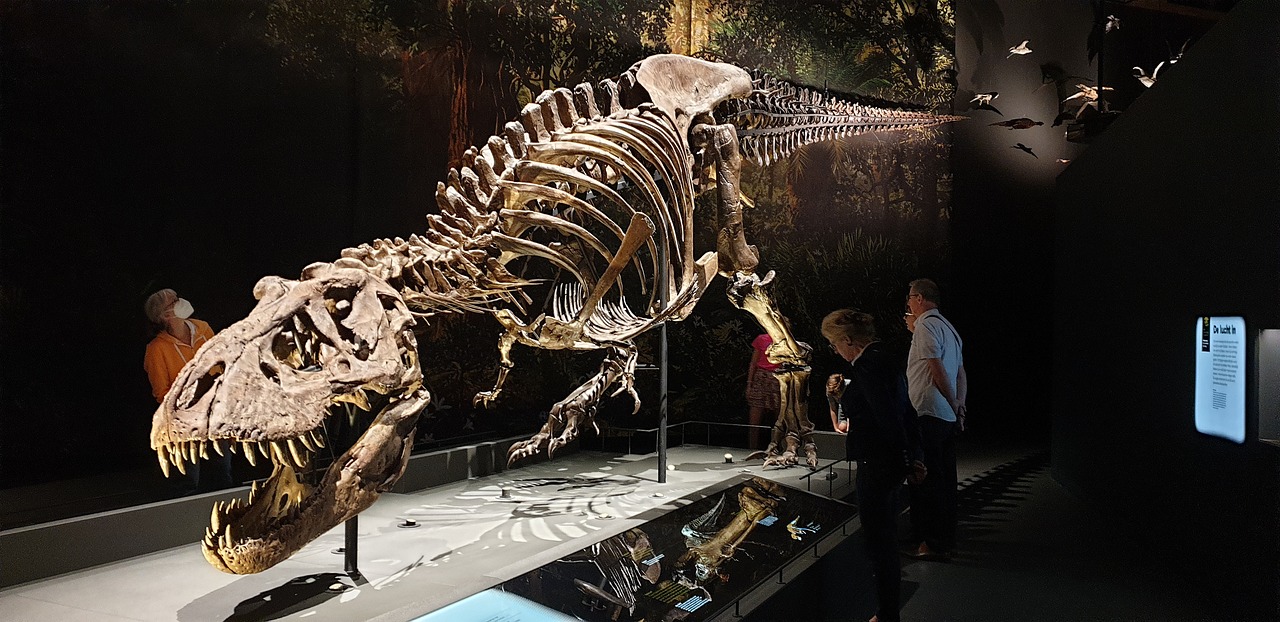 最新研究顯示，暴龍的大腦含足夠神經元，有堪比狒狒的智慧能解決問題甚至建構群體文化。(圖：Pixabay)