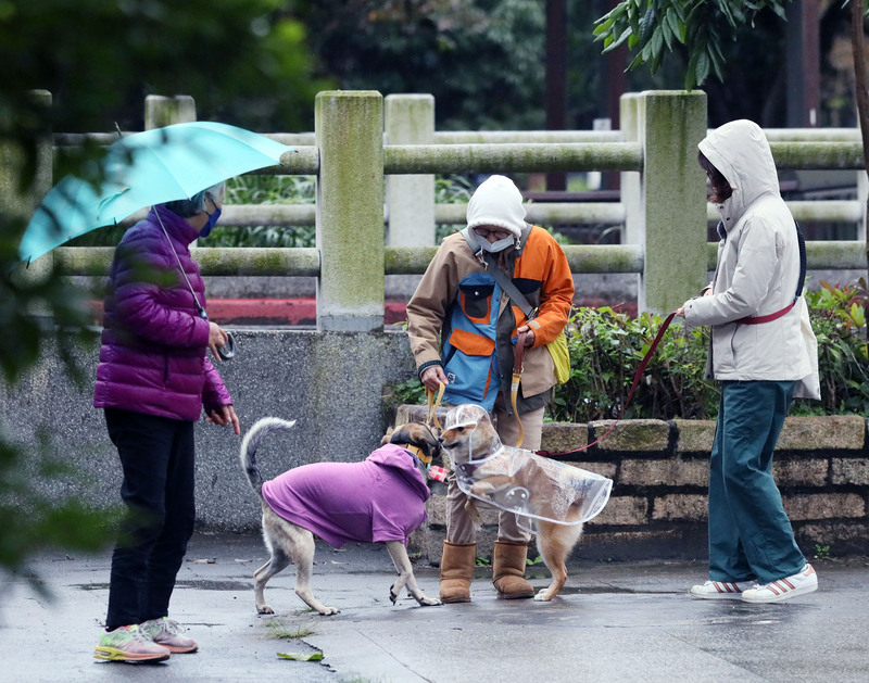 寒流來襲各地易有10度以下低溫。(圖：中央社)