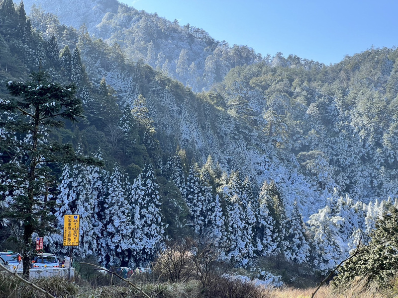 武陵農場27日晚上大約下了2小時瑞雪，28日山頭因為霧淞加上白雪，放眼望去，形成一片冰雪銀白世界。（武陵農場提供） (圖：中央社)