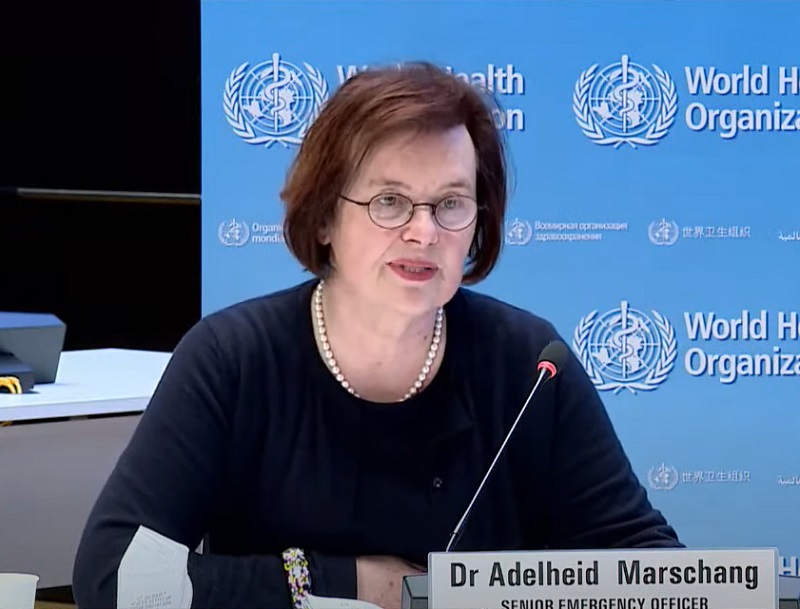 世界衛生組織高級緊急官員馬尚警告說，將會有多達2,300萬人受到這起地震的影響。(圖擷自YouTube)