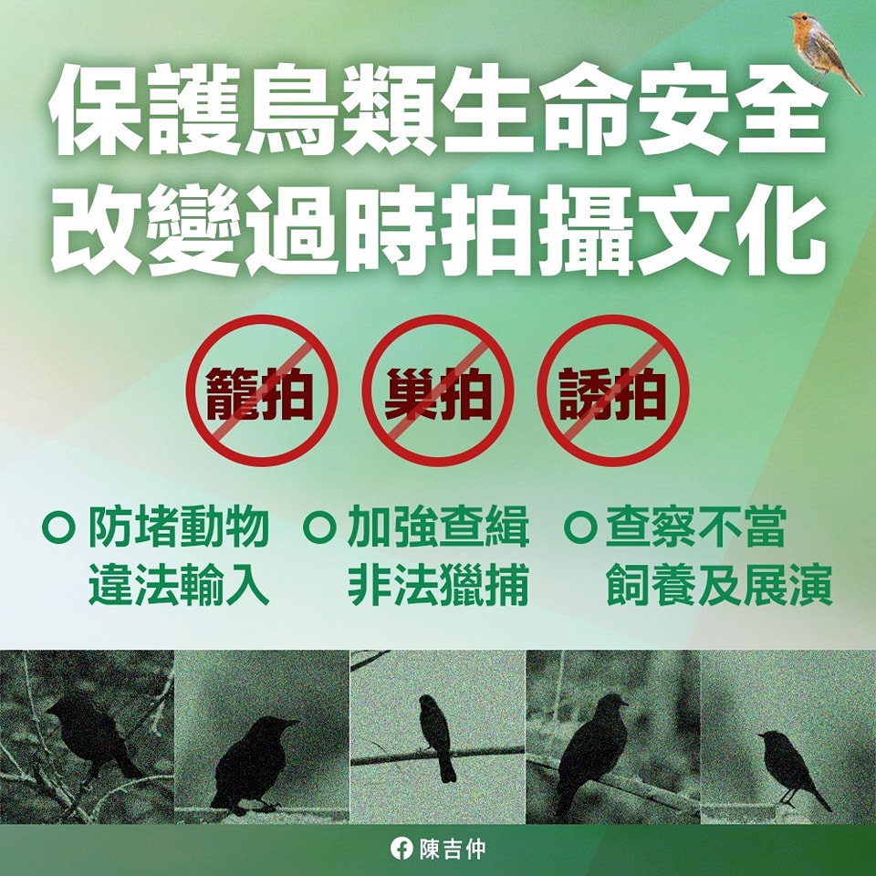 農委會主委陳吉仲呼籲民眾保護鳥類生命安全，改變過時拍攝文化。(圖：陳吉仲臉書)