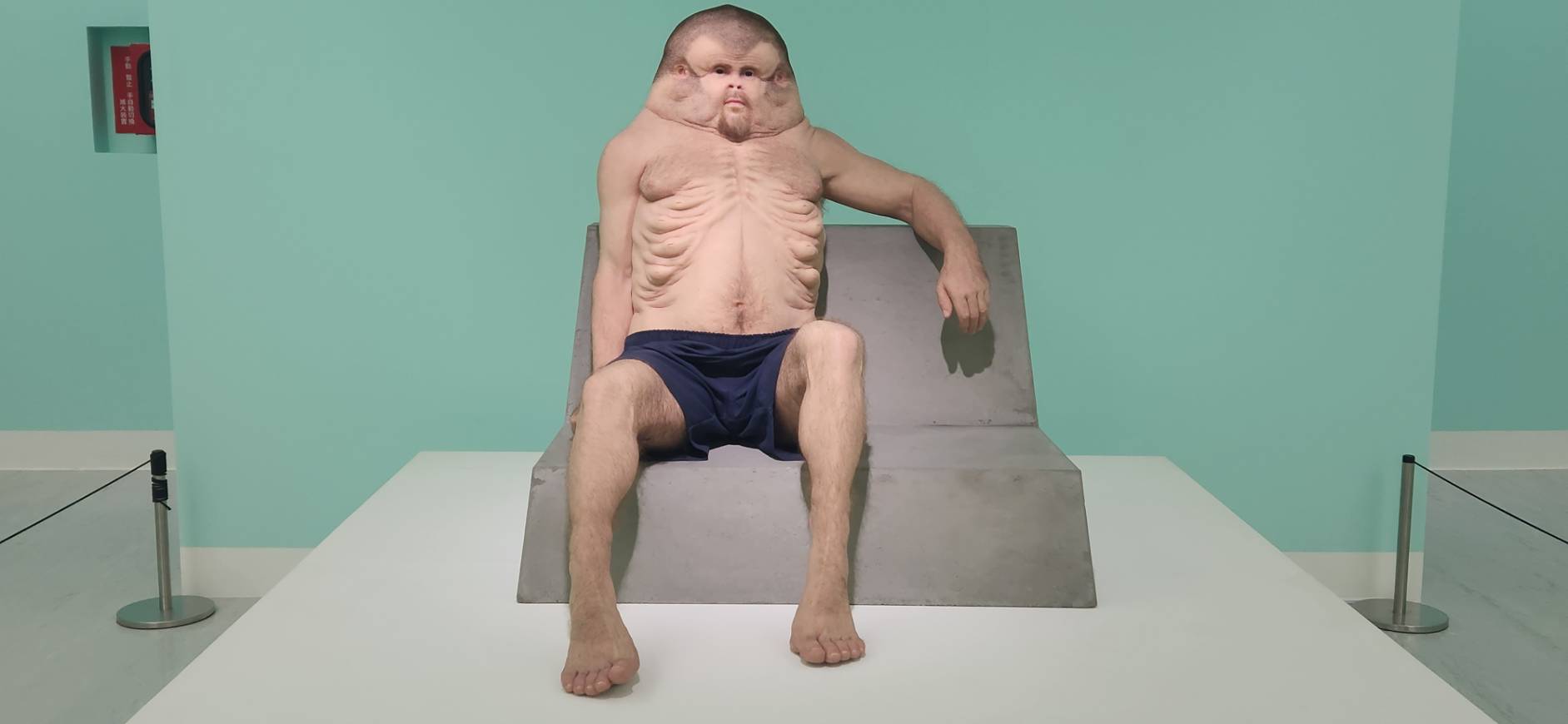 藝術家派翠西亞・佩奇尼尼（Patricia Piccinini）與墨爾本醫院創傷外科醫生共同創作的〈葛拉姆〉，呈現人類為承受車禍致命衝擊所必需的進化。(江昭倫 攝)