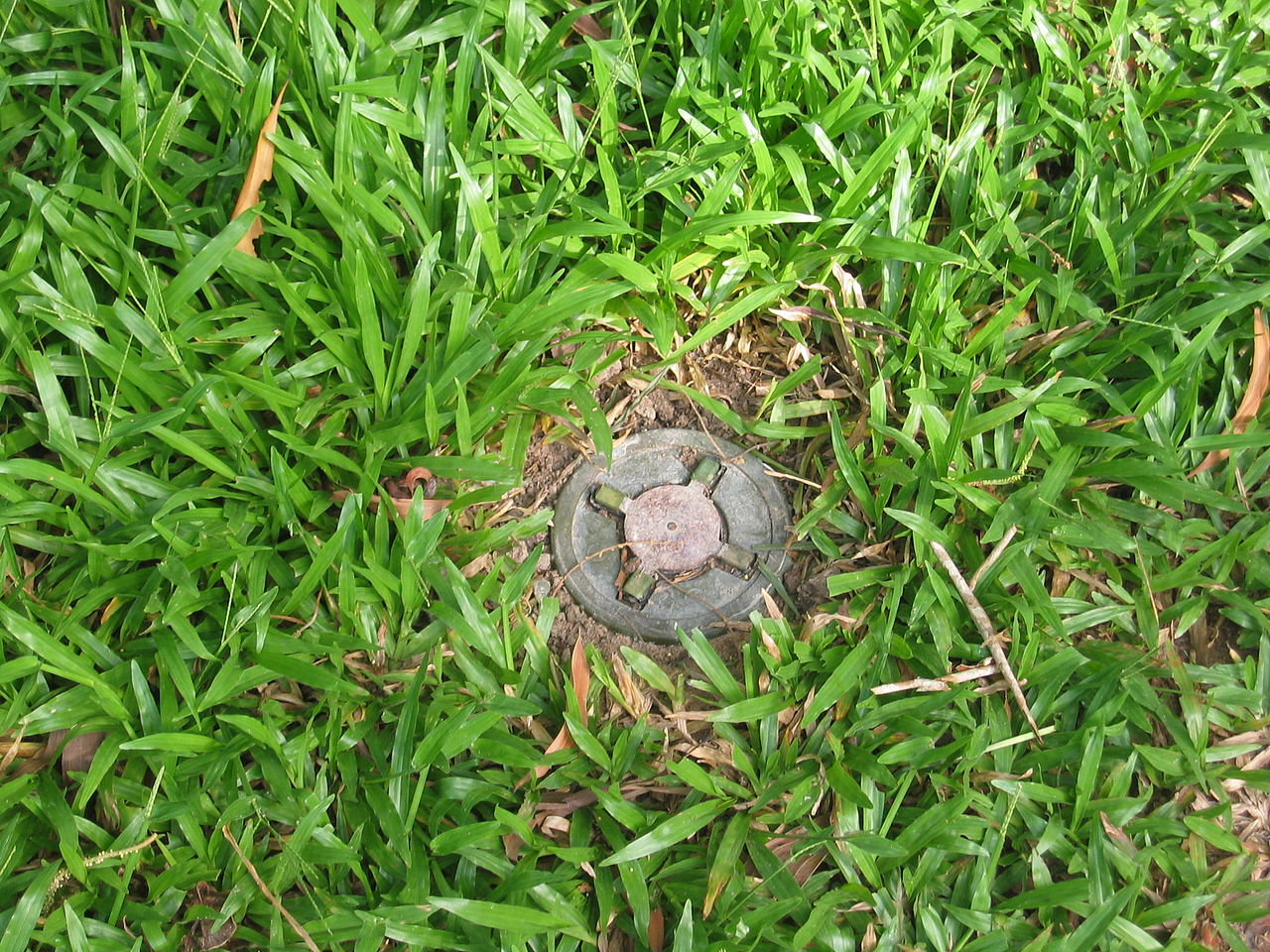 人員殺傷地雷。(圖：維基百科)