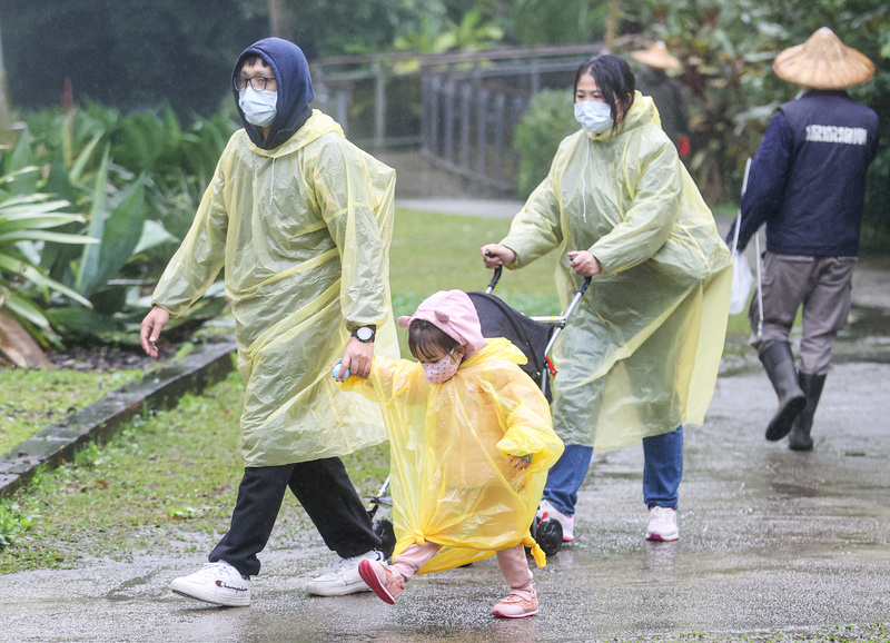 228連假首日，受強烈大陸冷氣團影響，中央氣象局25日持續發布9縣市低溫特報。圖為北部地區上午天氣濕冷，民眾穿雨衣帶孩子到台北市立動物園。 (圖：中央社)
