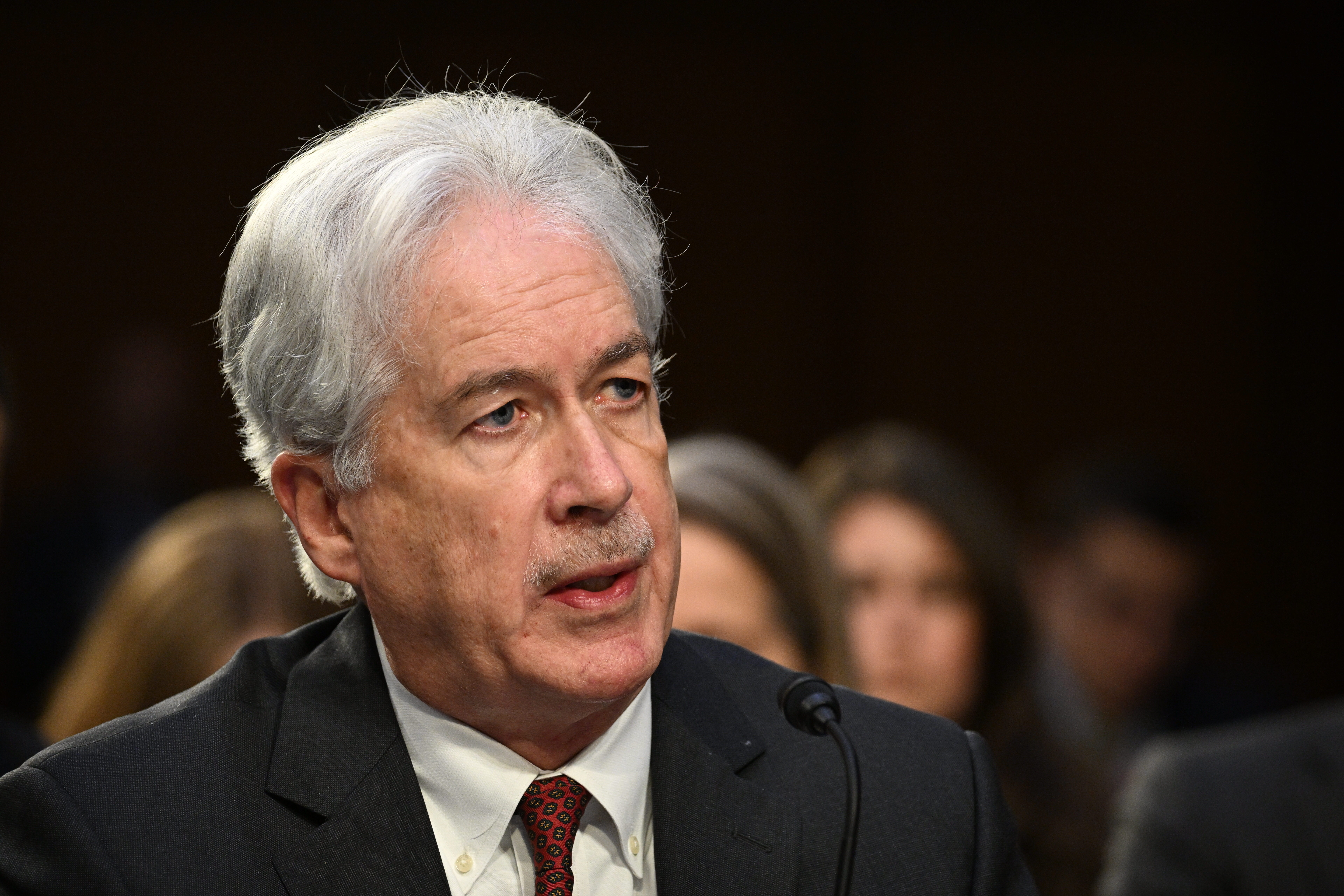 美國CIA局長伯恩斯(William Burns)。 (AFP)