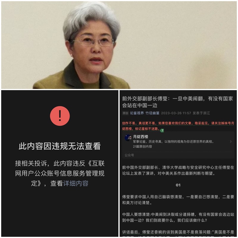前中國副外長傅瑩指中美若決裂「沒人會挺中國」。(合成圖)