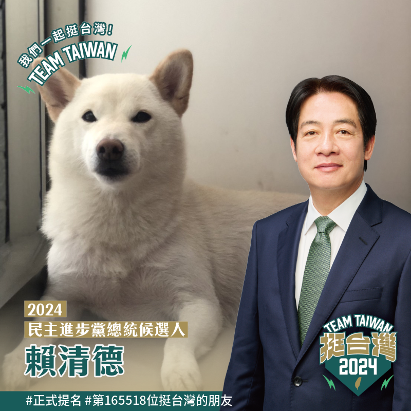 民進黨主席賴清德推出LINE同框照，短短1小時突破10萬人次使用。(Rti)