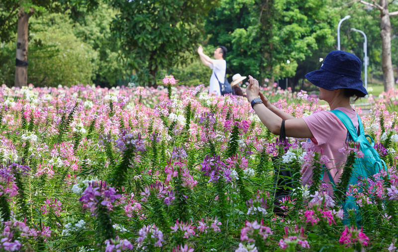 各地多雲到晴 台南高雄中午前後上看36度。 (圖：中央社)