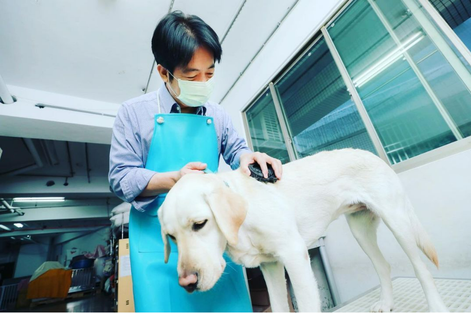 副總統賴清德表示，每年4月最後一個星期三是國際導盲犬日，他要感謝導盲犬無私的付出與陪伴，保護了視障者的安全。(圖：賴清德IG)