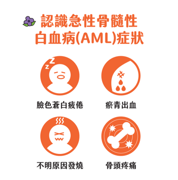 急性骨髓性白血病四大症狀。(中華民國血液病學會提供)