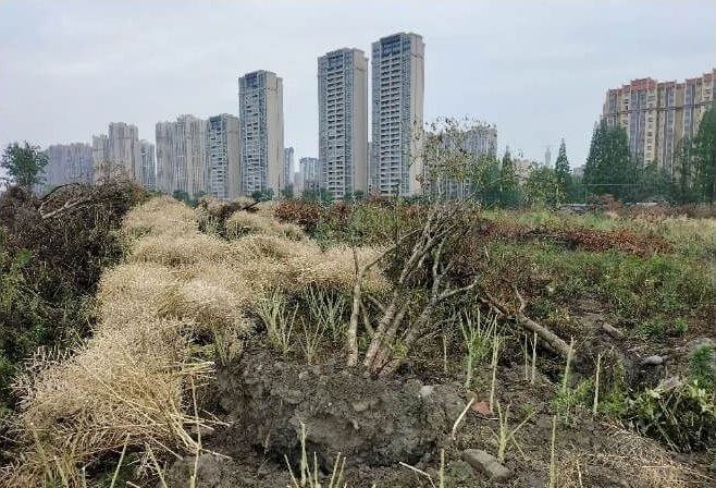 中國近來強行推動「退林還耕」政策，地方政府為保住耕地紅線而大動干戈，有些地方甚至採取了「退林還耕，退路還耕，退景還耕」等各種措施。(圖取自微信)