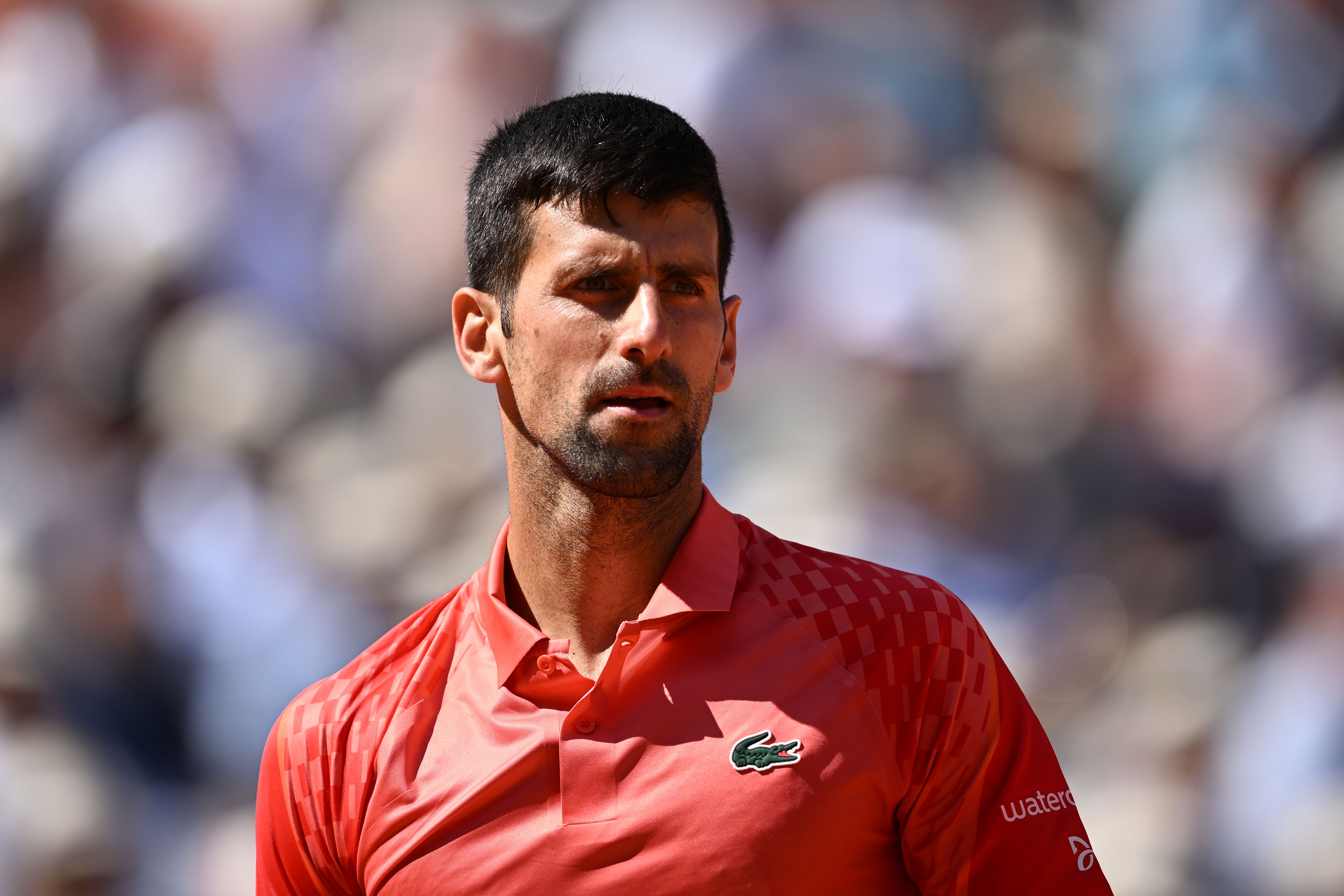 塞爾維亞網球名將喬科維奇（Novak Djokovic）(AFP)