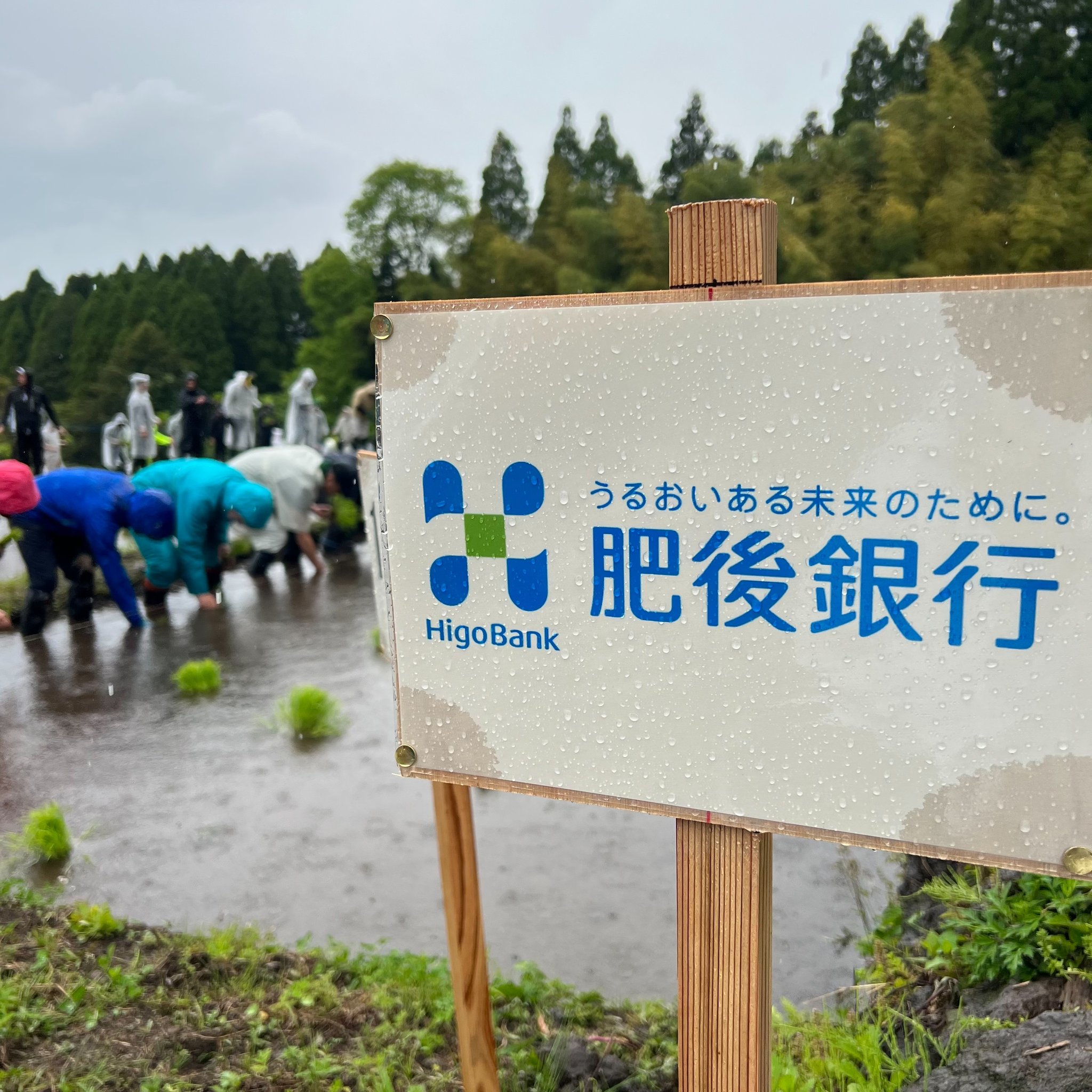 日商肥後銀行申請設立在台代表人辦事處，金管會31日表示核准此申請案。(圖：肥後銀行IG)