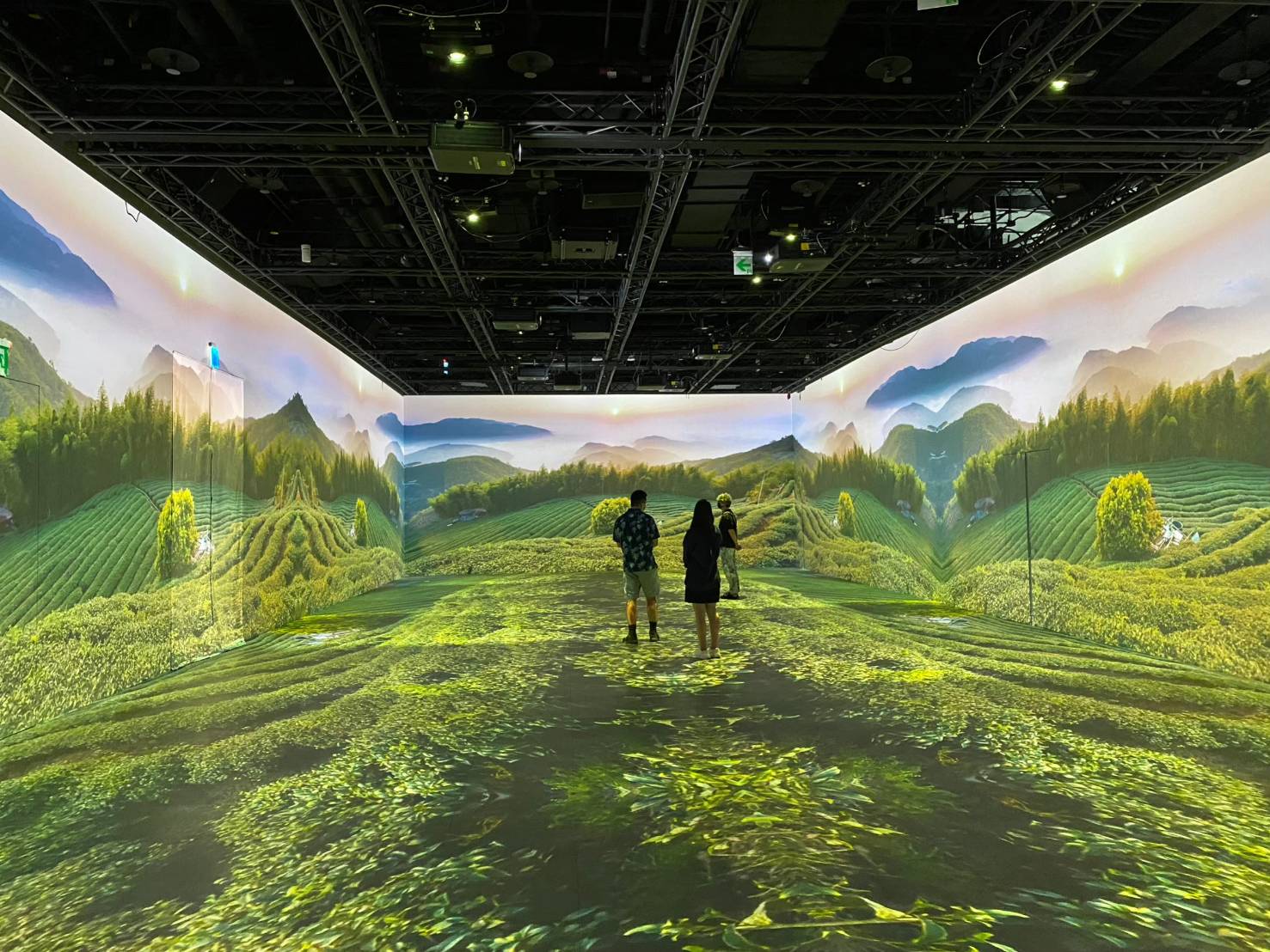 双融域AMBI SPACE ONE展演平台，6月2日起推出全新沈浸式體驗展《絕美之島－縮時台灣映象誌》。(馮業輝攝影／科文双融提供)