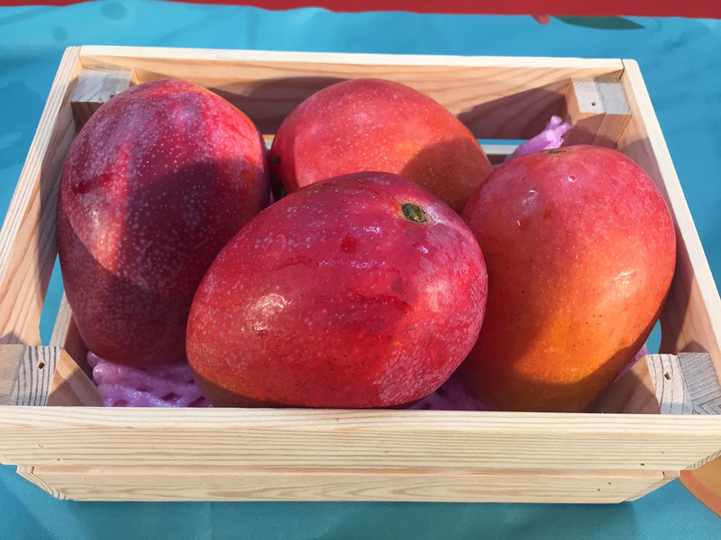 中國21日無預警宣布從即日起暫停台灣芒果輸入，農業部表示對台衝擊有限。(圖：中央社)