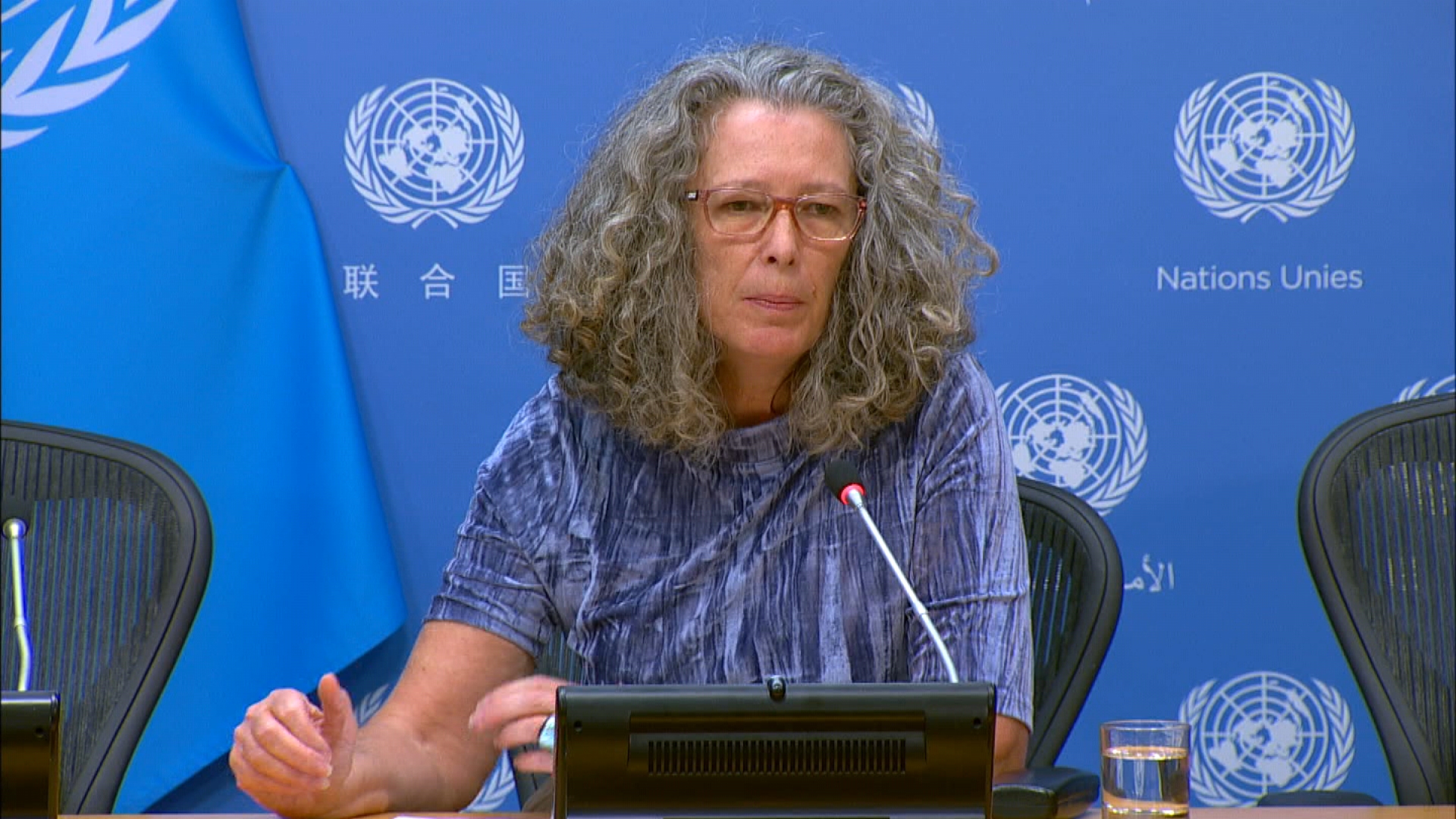 聯合國烏克蘭人道事務協調員布朗(Denise Brown)。(圖：UN)